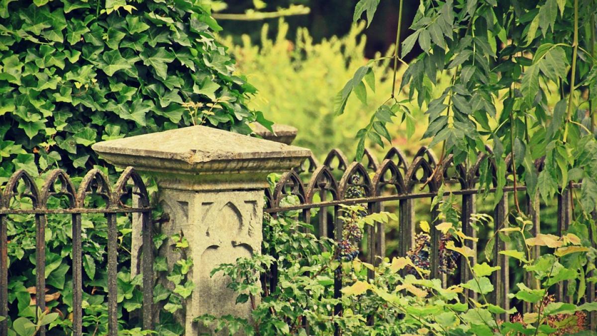 descoperire macabra cadavrul unei femei disparute in urma cu sase ani a fost gasit ingropat langa