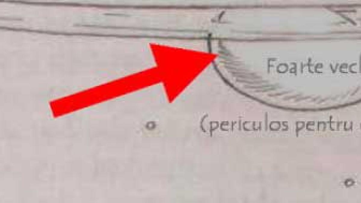 pasti super pont cum verifici daca ouale sunt proaspete acest test iti va fi de ajutor