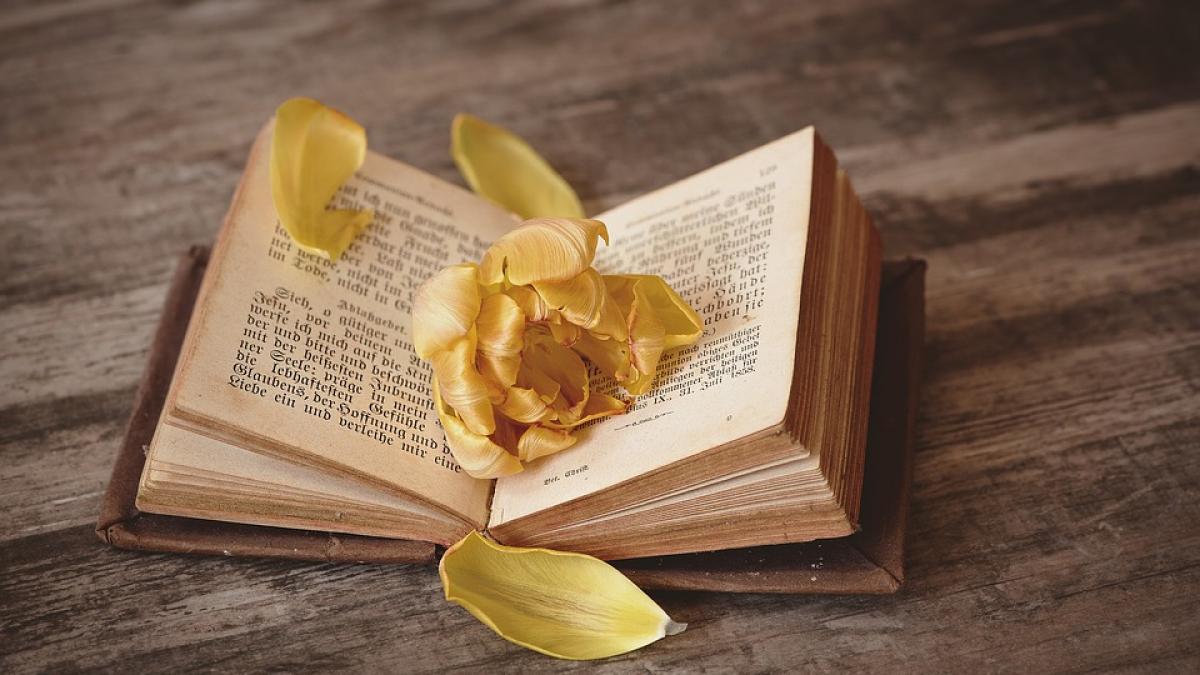 a returnat o carte la biblioteca dupa 67 de ani incredibil motivul pentru care a asteptat atat de