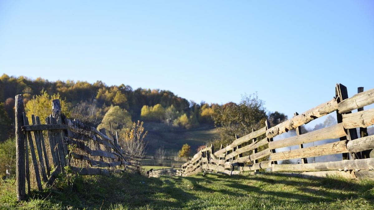 tragedie republica moldova copii ucisi