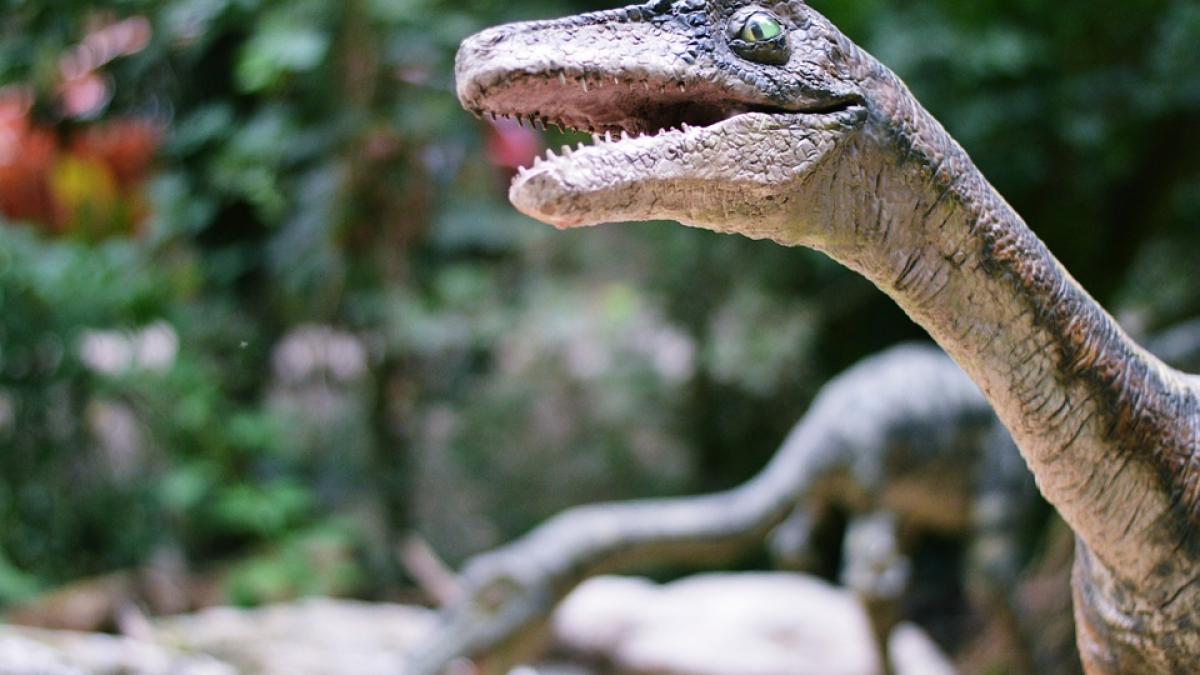 ce a raspuns un preot atunci cand a fost intrebat de ce in biblie nu apar dinozauri