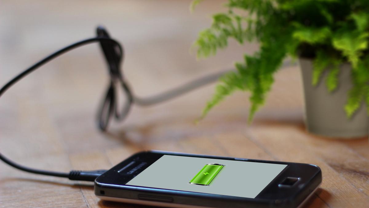 incarcare plante.jpg