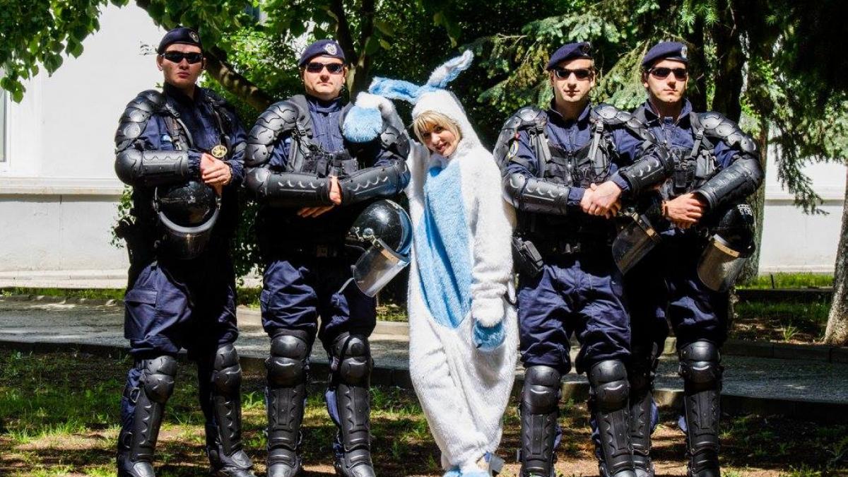 imagini viral mai pasti iepuras