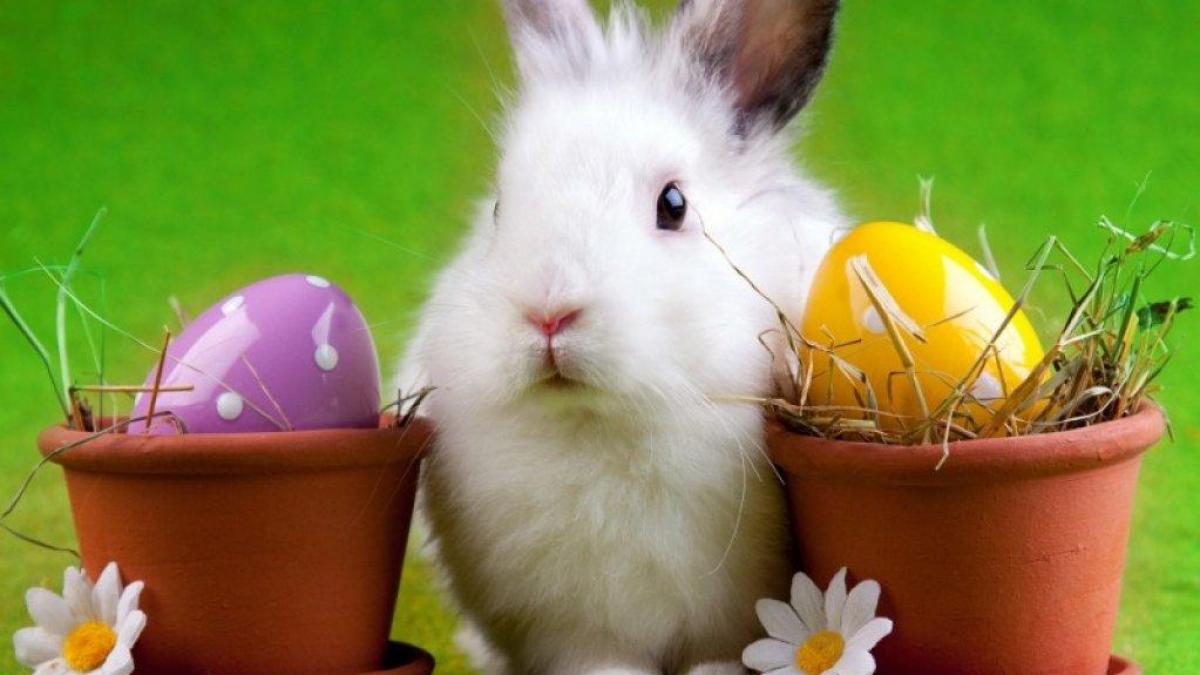 paste pasti mesaje sarbatoare fericit