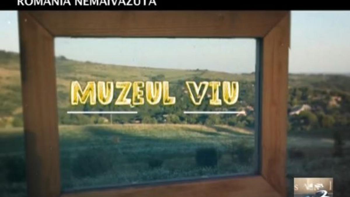 romania nemaivazuta muzeu viu ursu