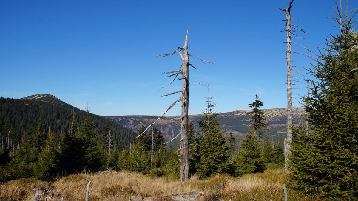 un turist thailandez in soc hipotermic pe platoul bucegi