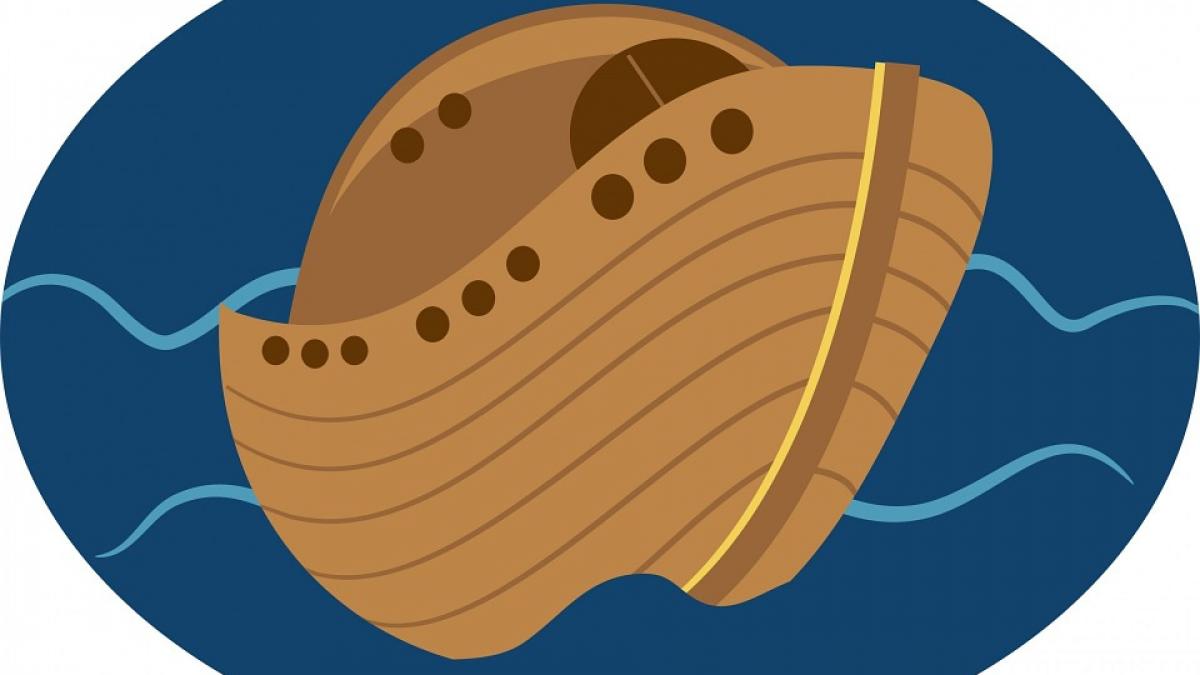 banc purice arca lui noe