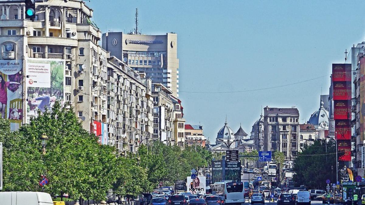 intretinere spatii verzi curtea de conturi