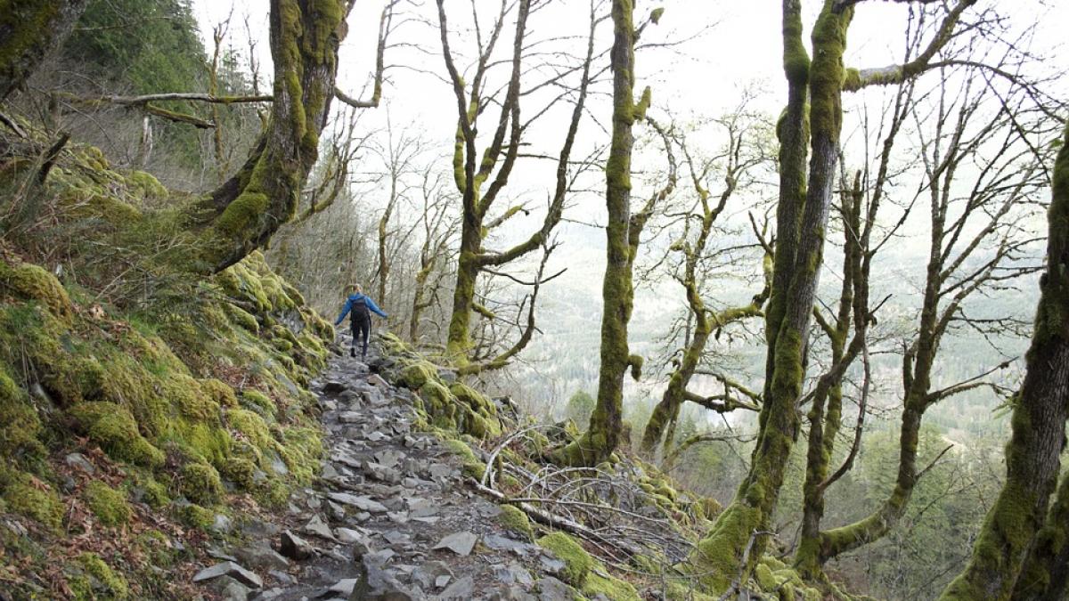sacrificiu suprem si a salvat fiul cu pretul vietii ei