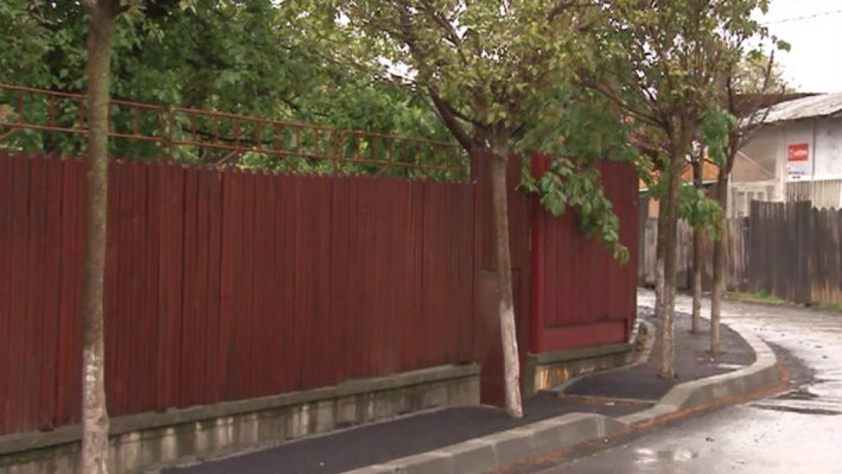 breaza asfalt troturar copaci