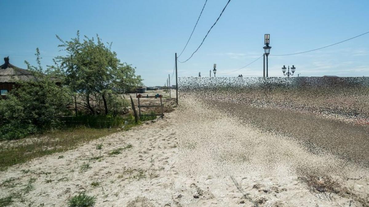 mergi la mare uite cum arata acum plaja de la navodari au construit marele zid chinezesc