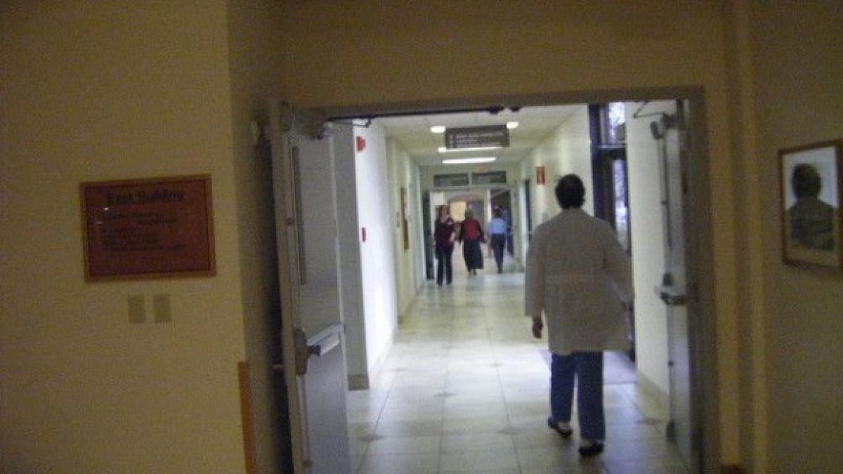 schema jafului cu dezinfectanti cum au decurs in documente afacerile patronului firmei hexi pharma