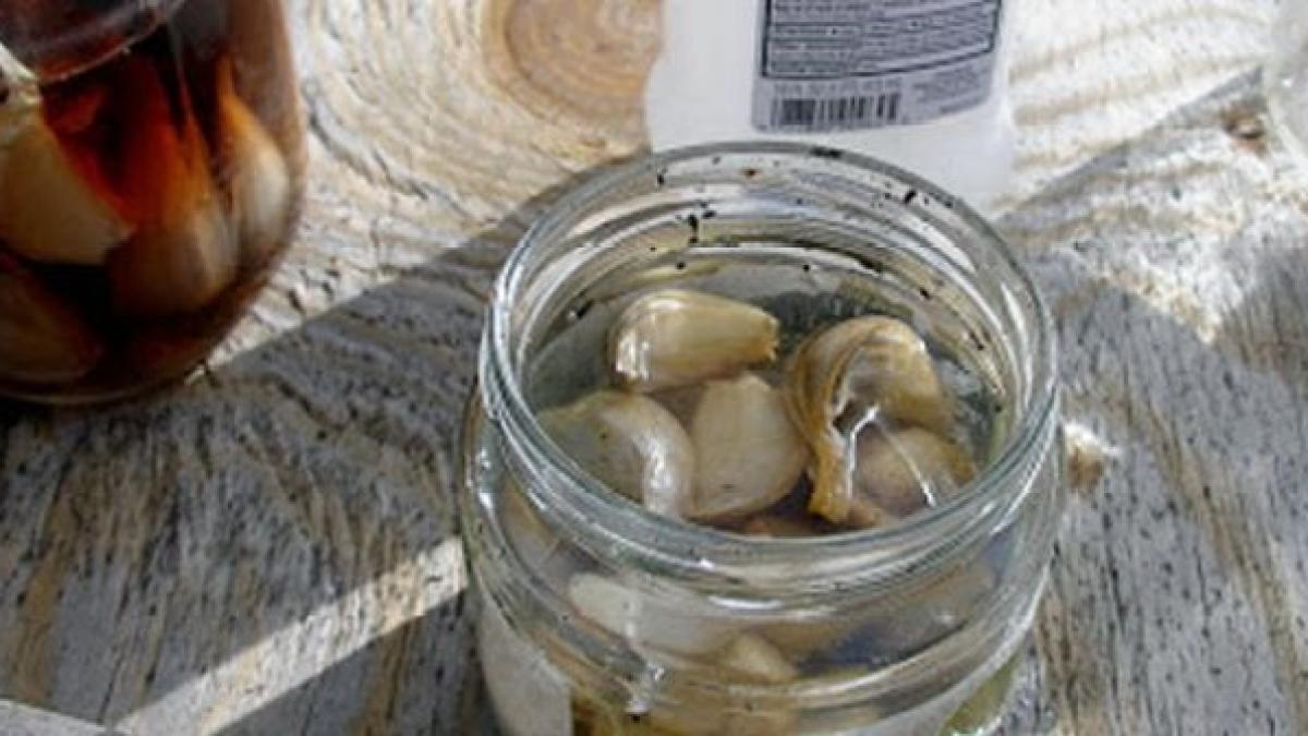 leac uimitor vechi de 5000 de ani vindeca numeroase boli si este foarte simplu de preparat