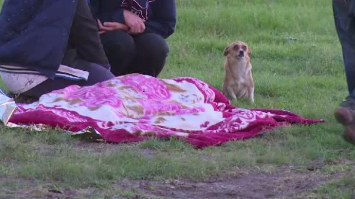 un baietel de 9 ani a murit dupa ce a cazut intr un rau gestul emotionant facut de catelul sau