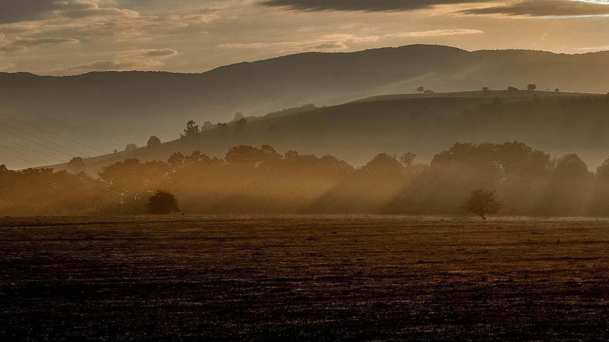 descoperire socanta a gasit bucati din trupul unui barbat disparut de sase luni