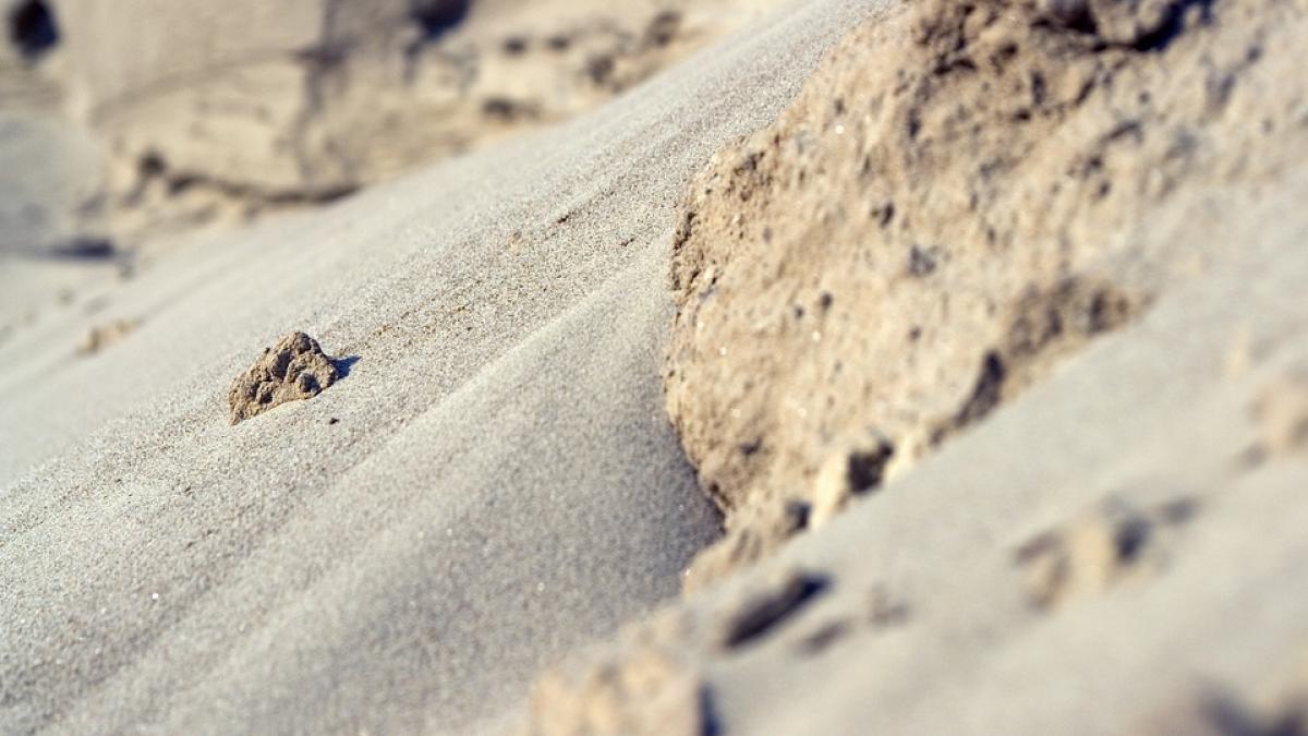 40 de oameni au murit in sud estul chinei in urma unei alunecari de teren