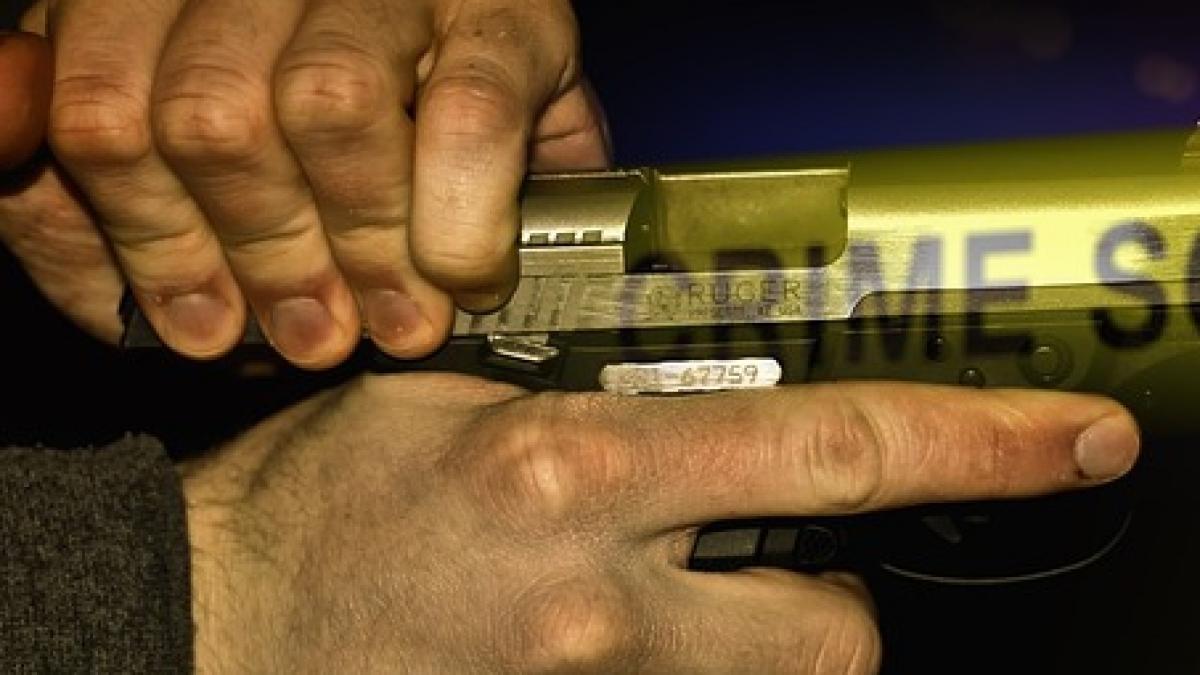 atac armat in egipt opt politisti au fost executati