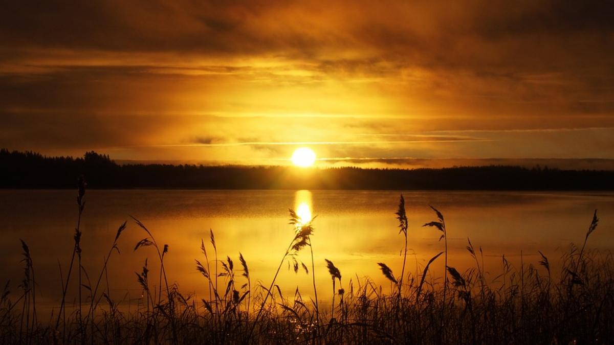 incalzire globala africa de nord