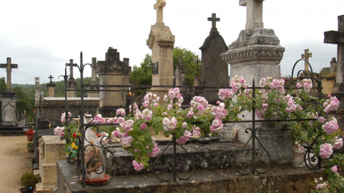 a intrat intr un cimitir si a trait clipe de groaza