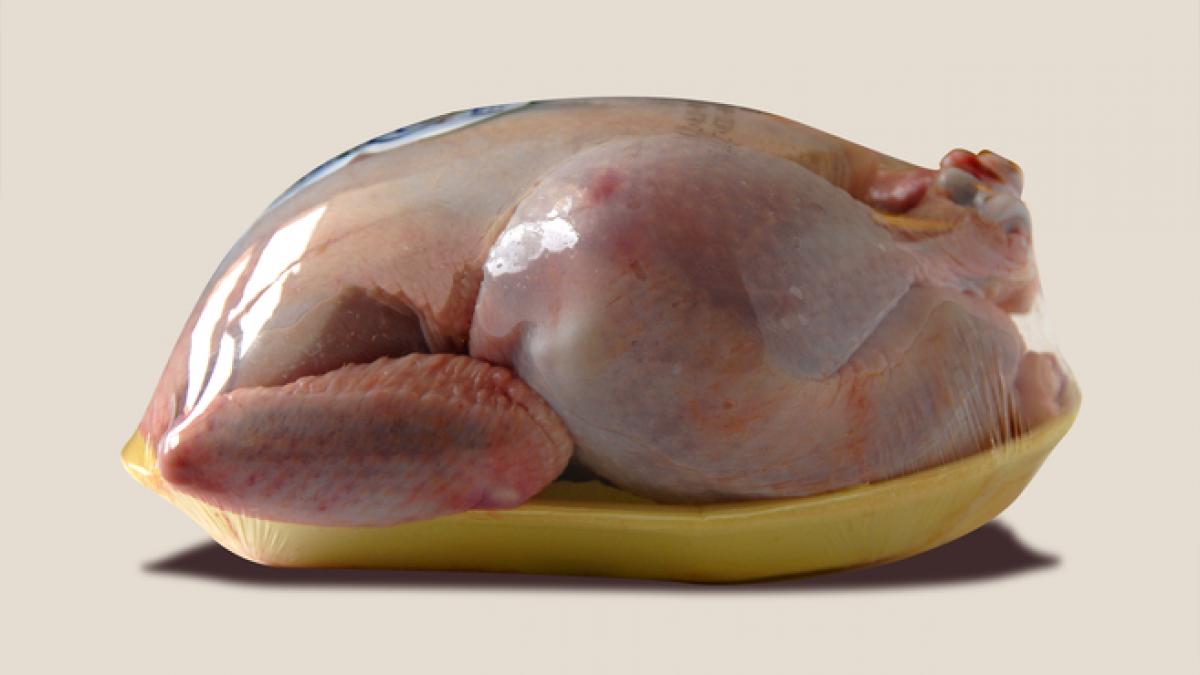 alerta sanitara autoritatile au descoperit salmonela in carnea de pui importanta din polonia