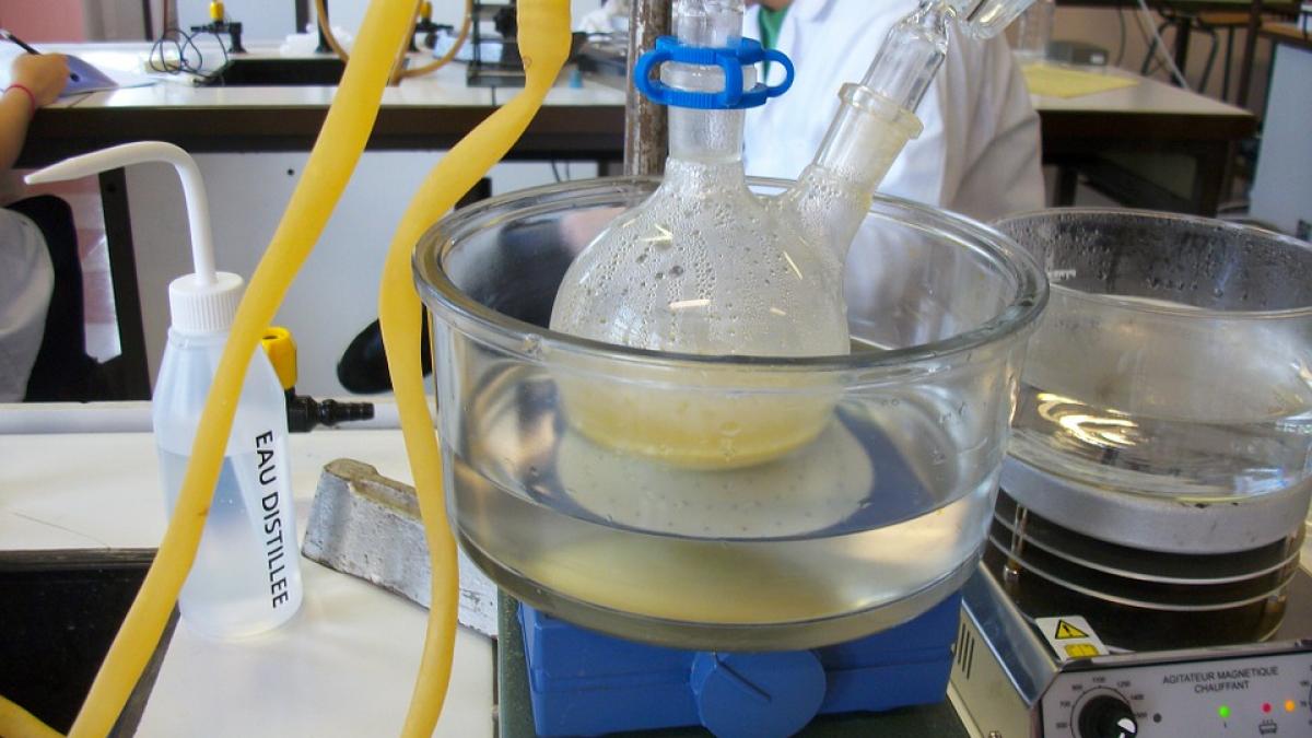 medalii lotul olimpic chimie