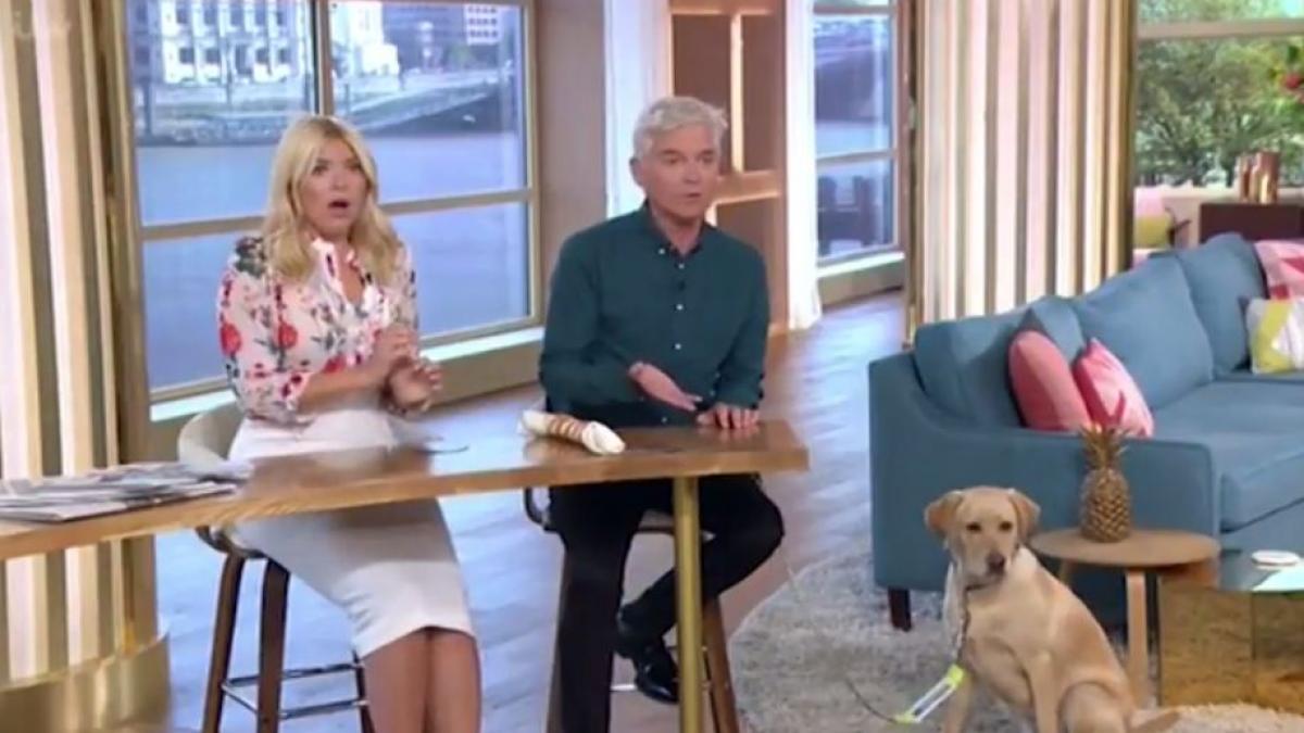 s a intamplat in direct la matinal oh doamne ce a fost asta