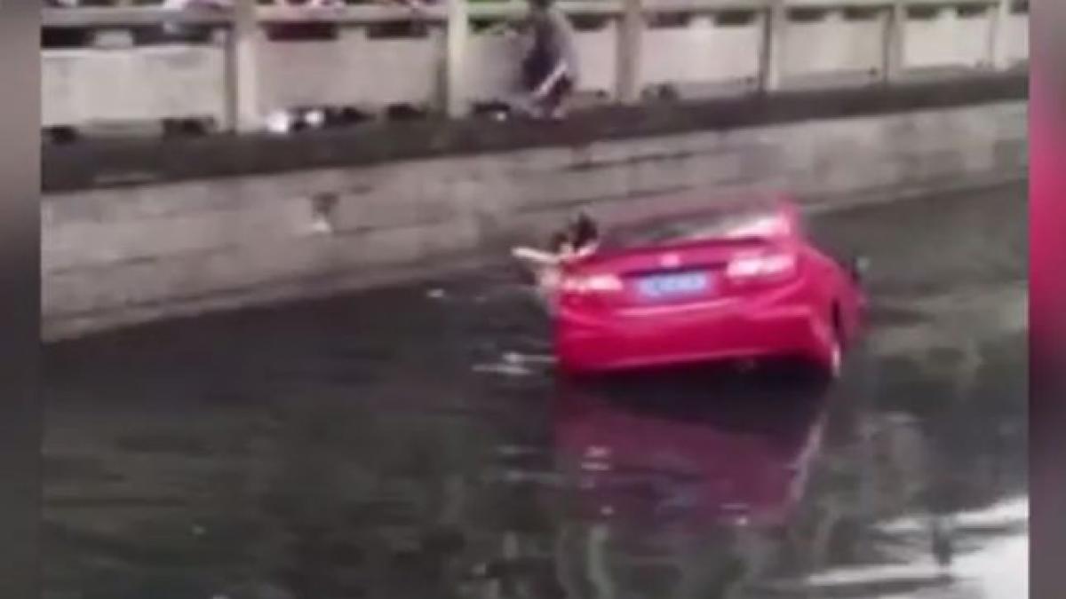 soferita salvata din rau