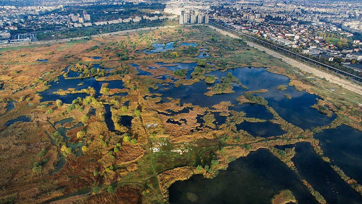 vacaresti parc national guvern lege