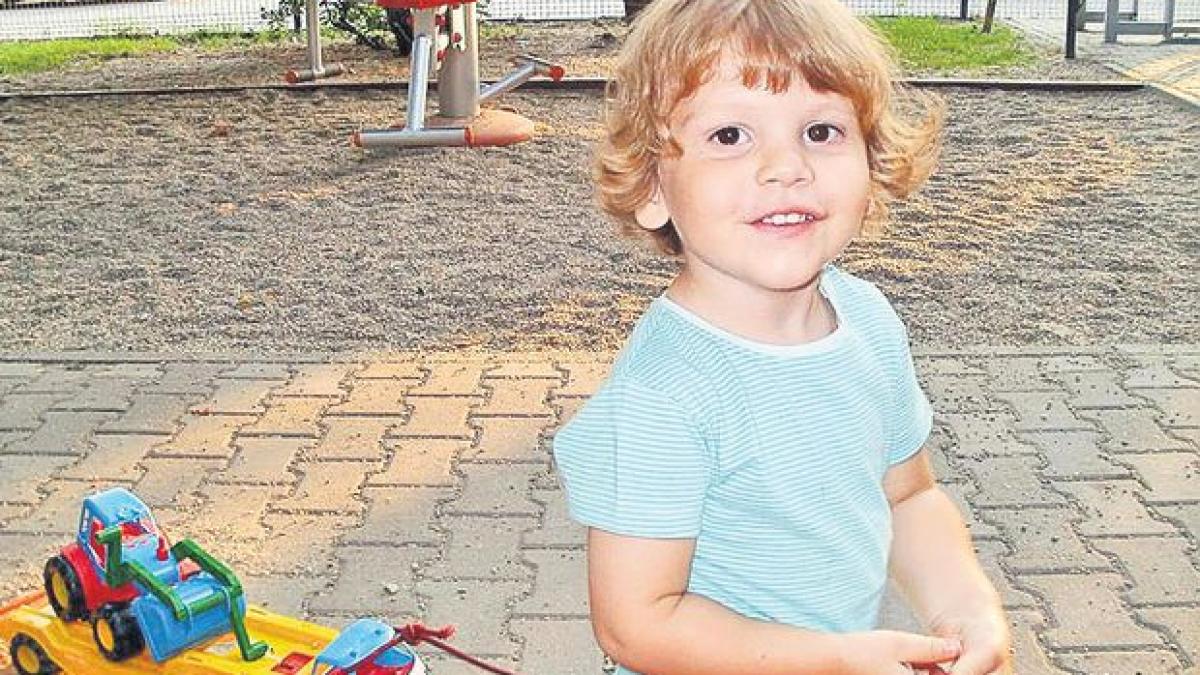 decizie definitiva in cazul copilului ionut anghel ucis de caini in septembrie 2013