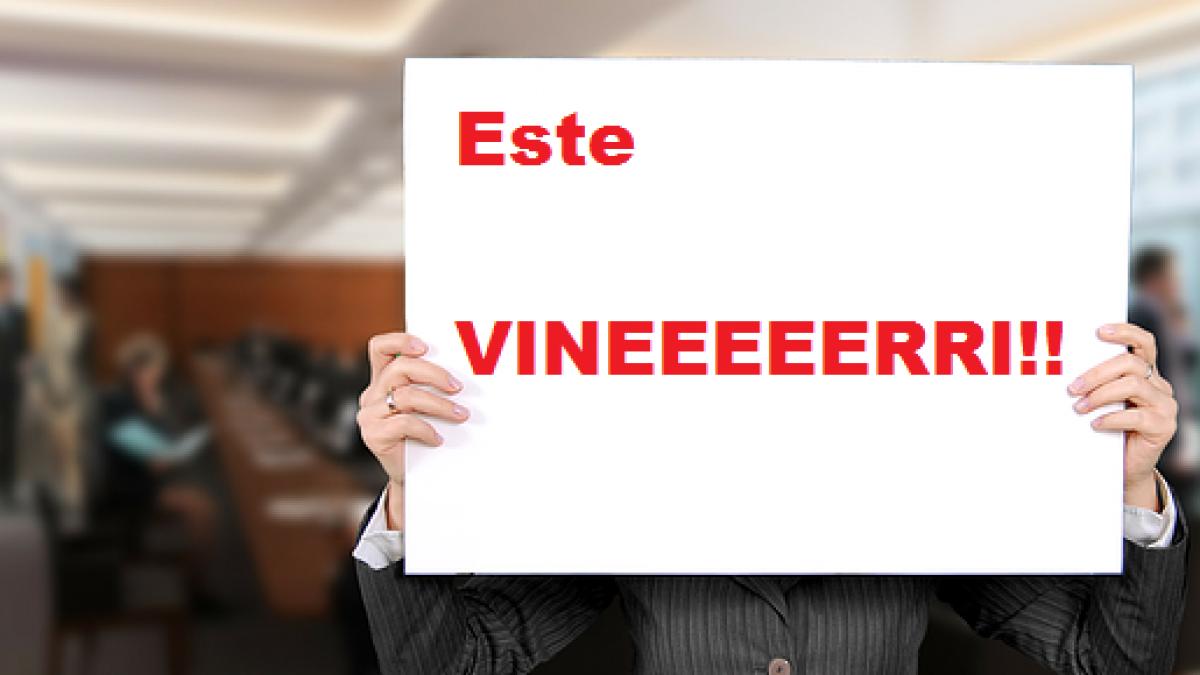 vinerea s ar putea reduce programul de lucru la sase ore