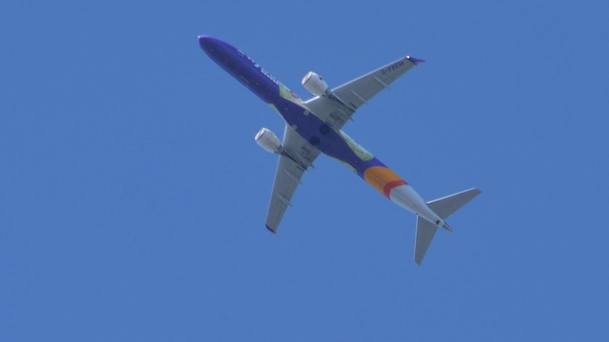 ce se intampla cand o pasare loveste motorul unui avion video