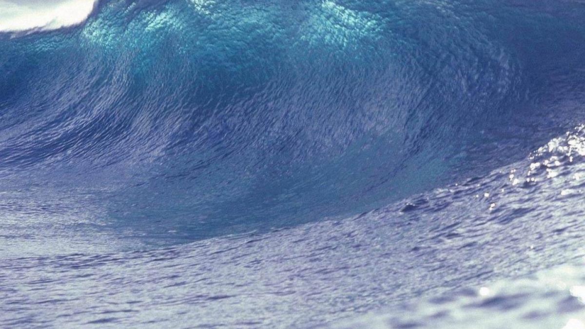 descoperire geologi tsunami cutremur hawaii