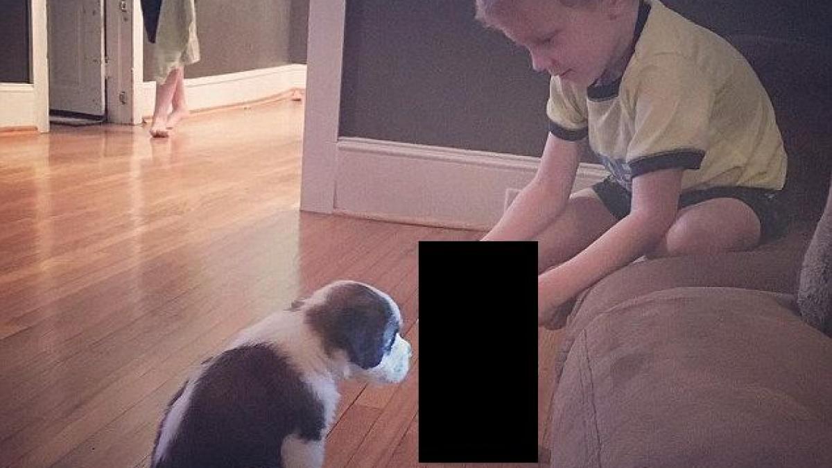 nu ai mai vazut asa ceva cum isi dreseaza un baietel de patru ani catelusul saint bernard