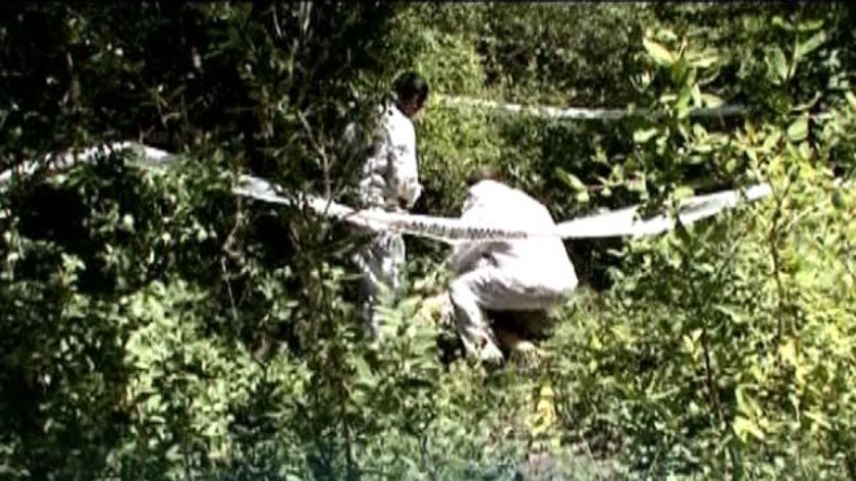 profesoara moarta transfagarasan alerta