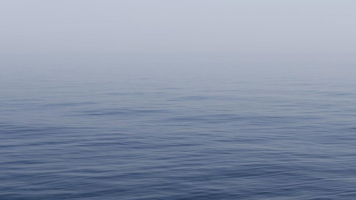 au supravietuit zece zile pe mare mancand doar peste crud incredibil ce au descoperit la finalul