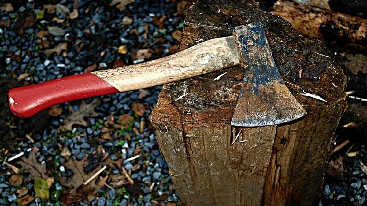 defrisari judetul arges mariana ionescu