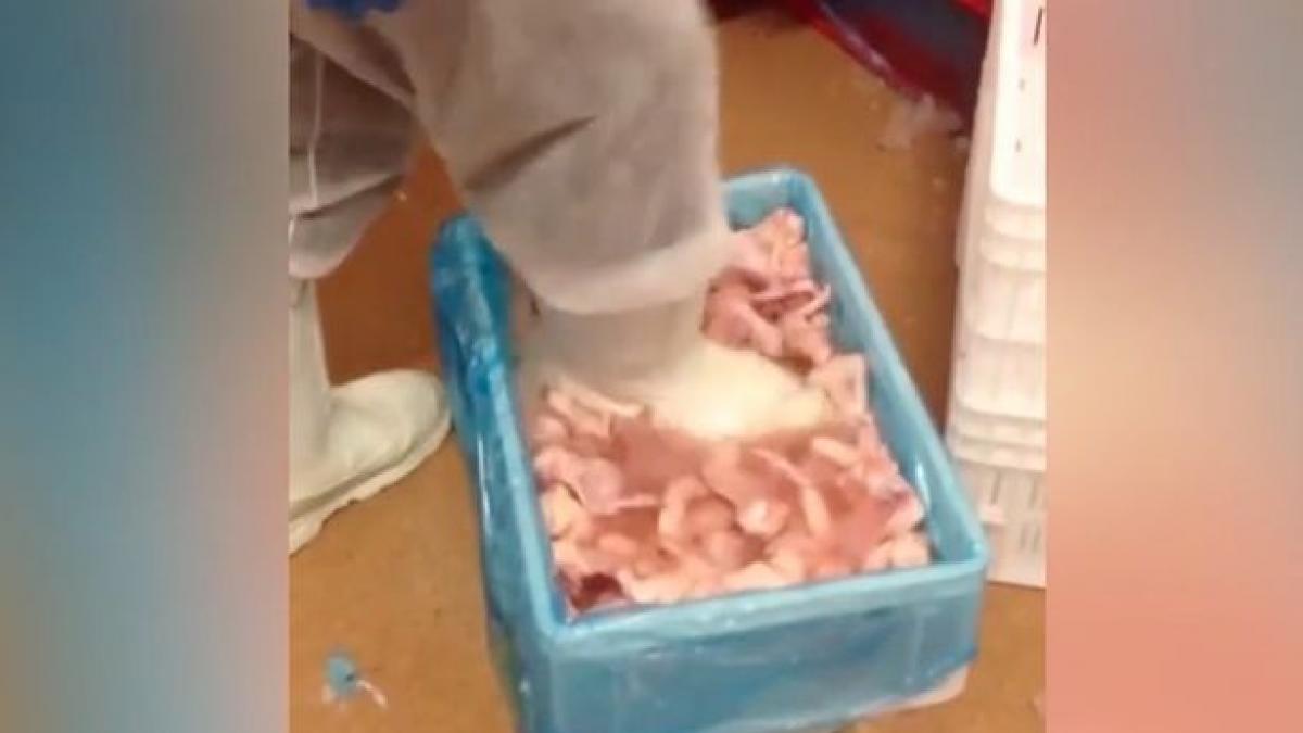 scandalos ce facea un angajat al unei fabrici cu aripioarele de pui