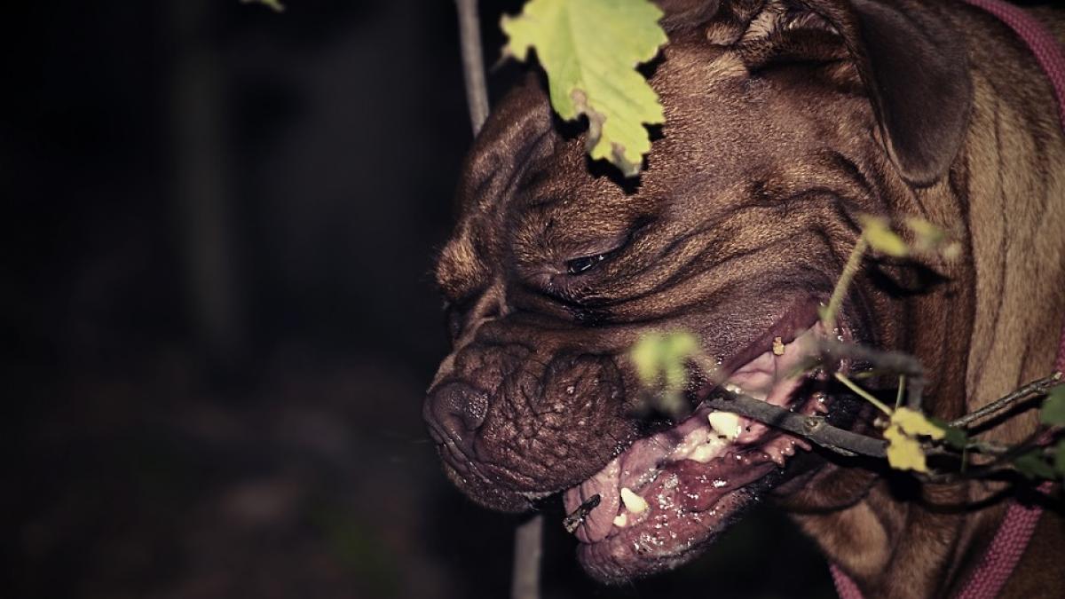 venea de la scoala cand a vazut ceva infiorator