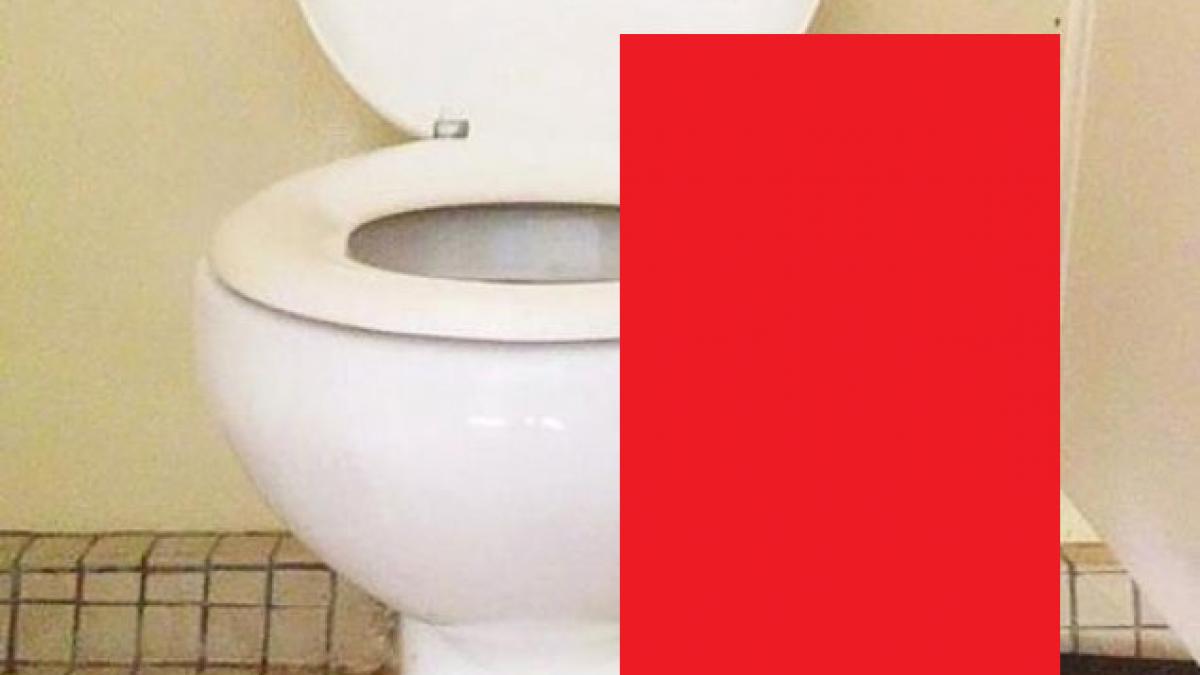 avea nevoie urgent la toaleta cand a vazut ce era in wc era sa lesine a iesit tipand de acolo