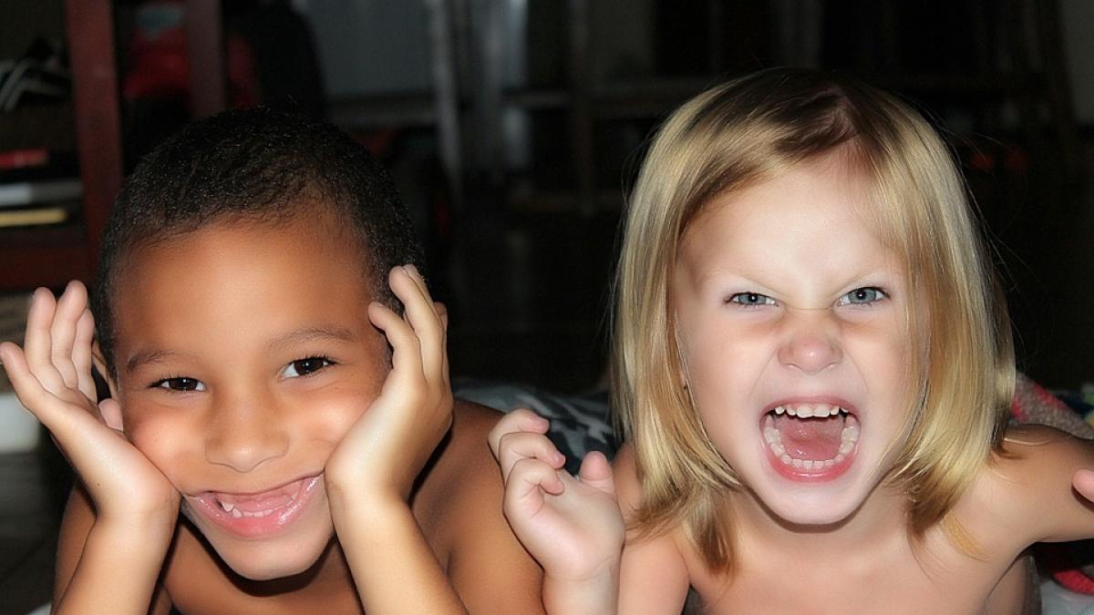 dinti de lapte celule stem