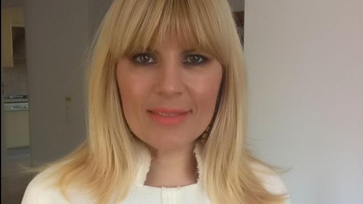 reactia elenei udrea dupa ce traian basescu l a criticat pe ponta