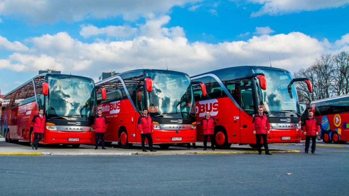 calatoresti ca un rege cu memento bus