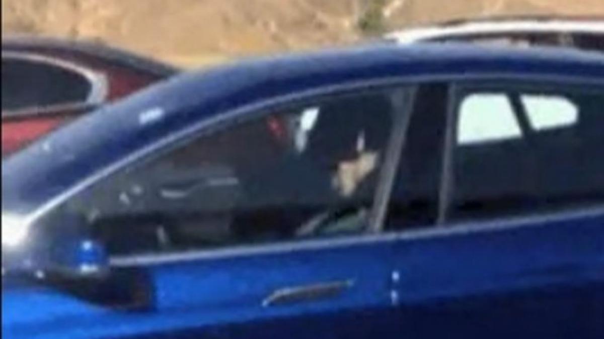 a fost filmat in trafic in timp ce dormea la volan masina se conducea singura cum a fost posibil