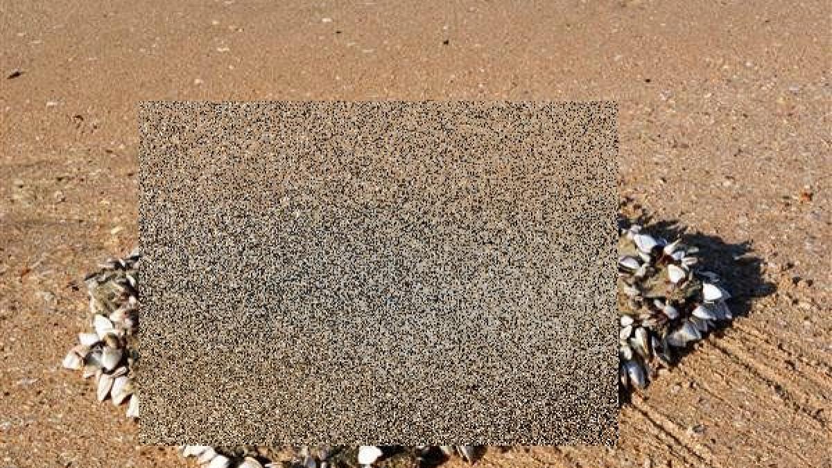 a gasit pe plaja un posibil fragment din avionul malaysia airlines disparut in 2014 insa l a