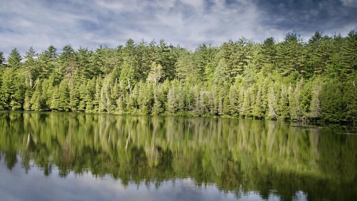 trupul unui barbat gasit intr un lac din apropierea unei manastiri din tulcea