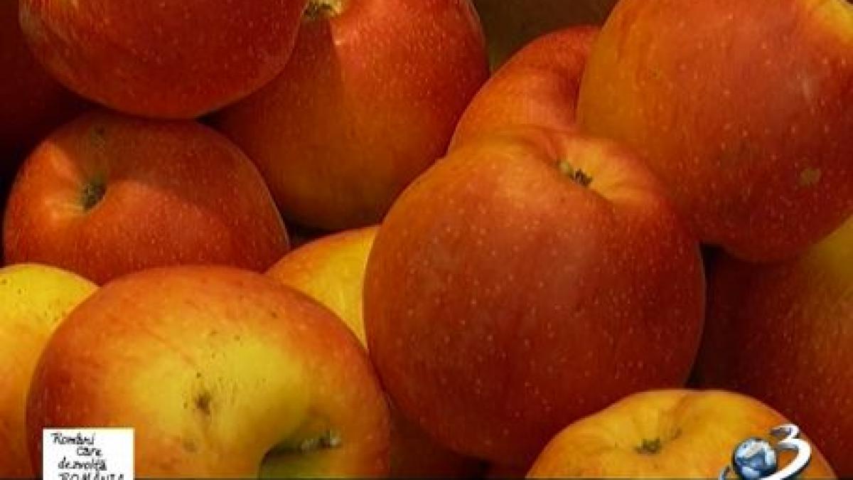 romani care dezvolta romania merele de voinesti