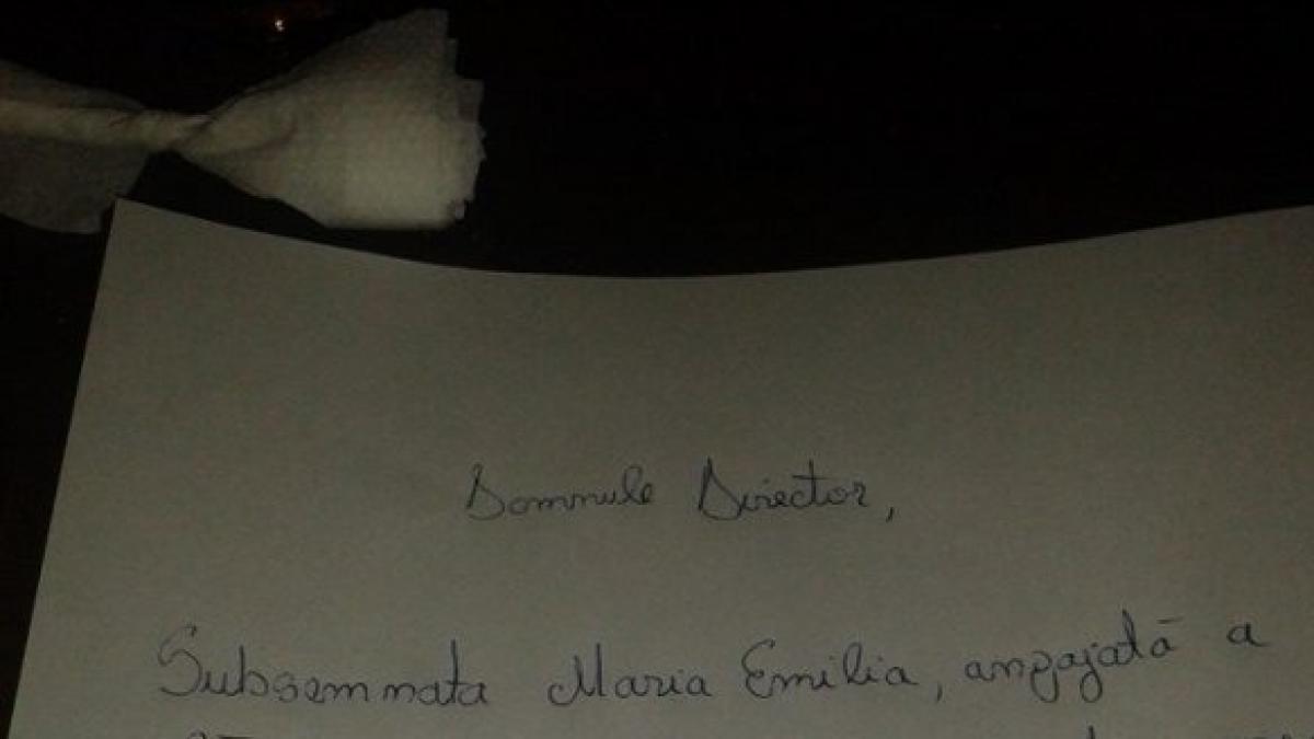 cerere de demisie romanca