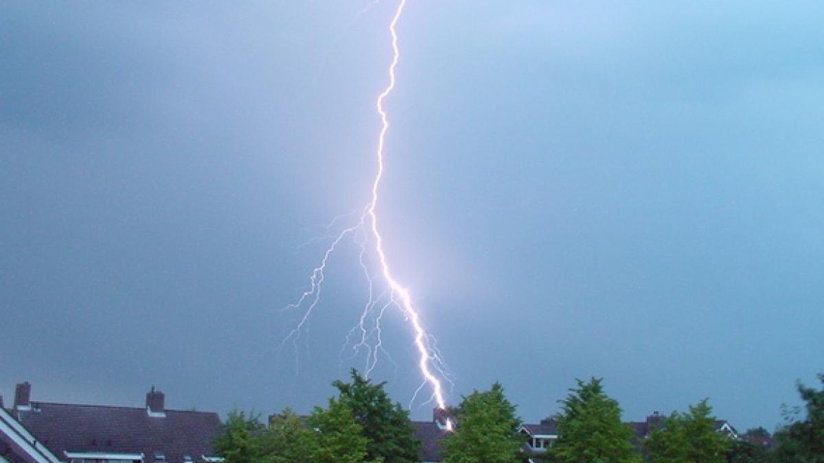 cod galben de furtuna in bucuresti si imprejurimi