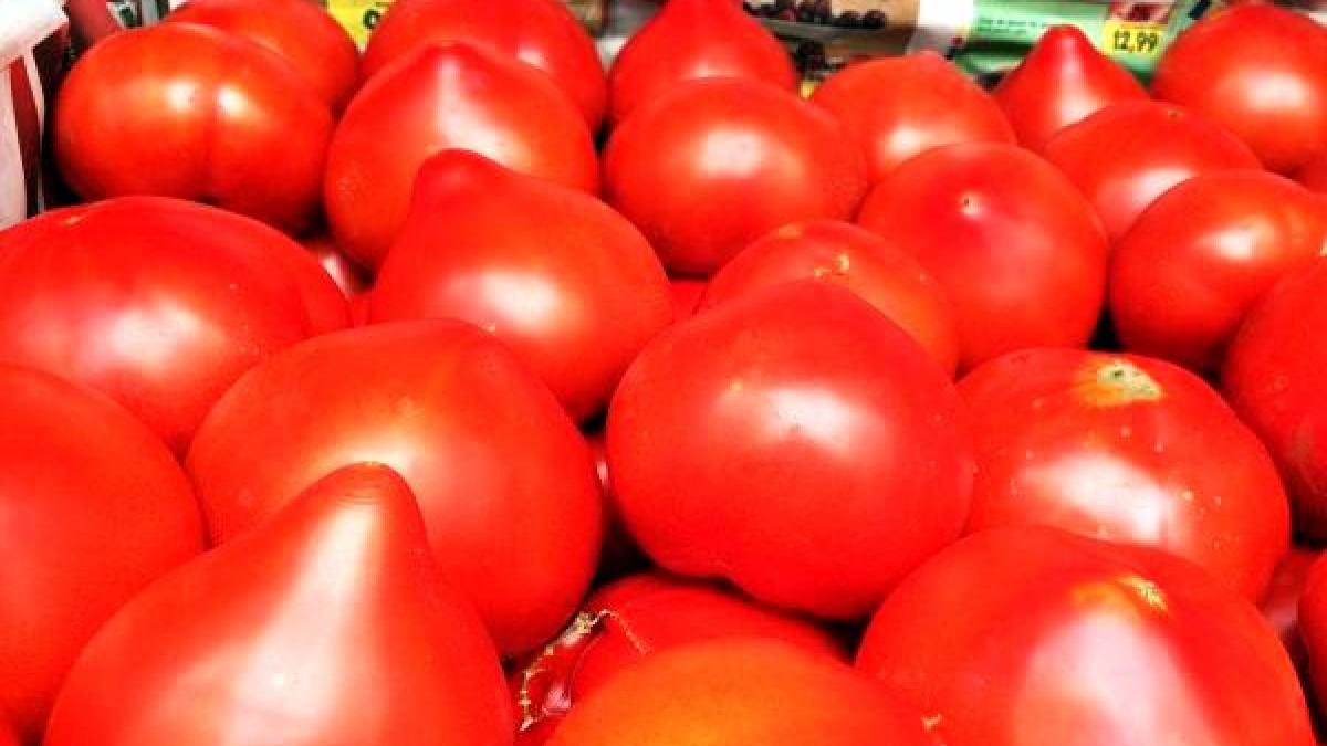 adevarul despre rosiile cu tugui