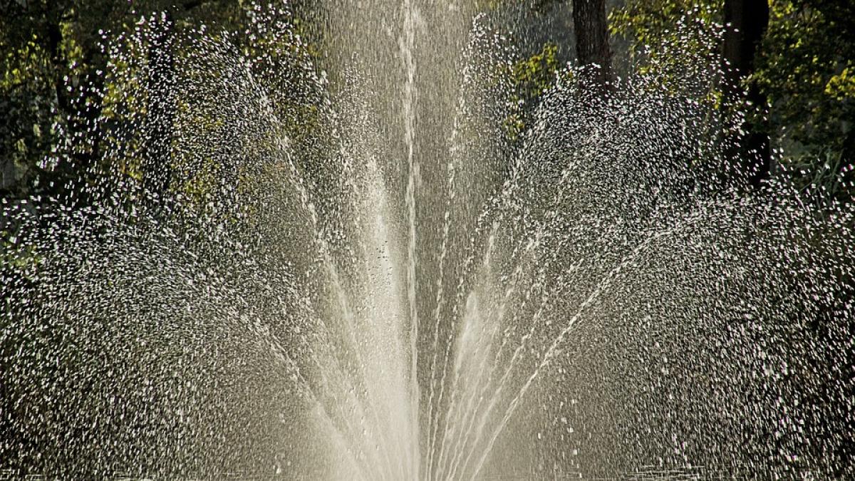 dorel de timisoara a inundat o strada ce a incercat sa faca de fapt